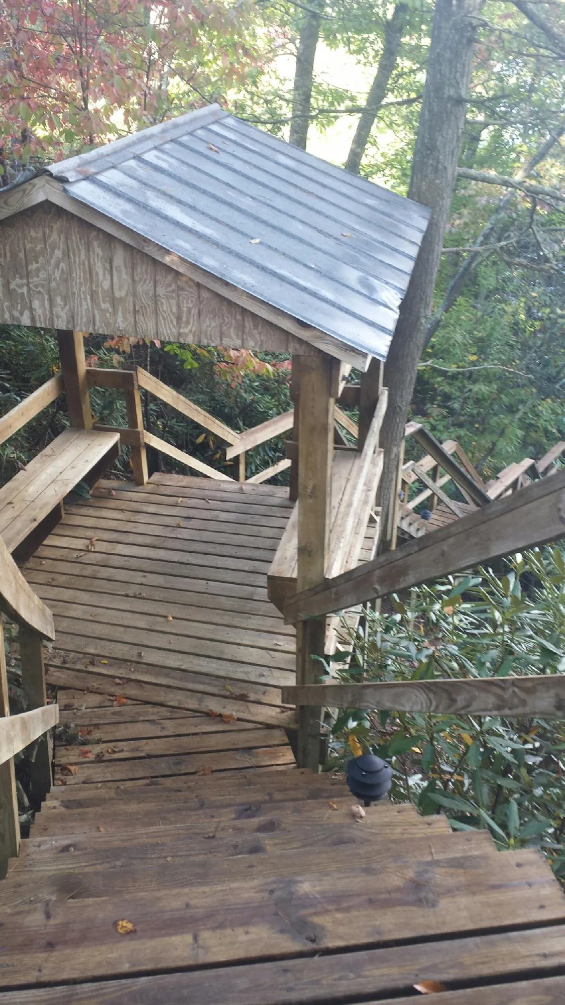 Metal roofed shelter over wooden steps on a wooded walkway — Skylight Repair & Installation work by our crew in Granite Bay